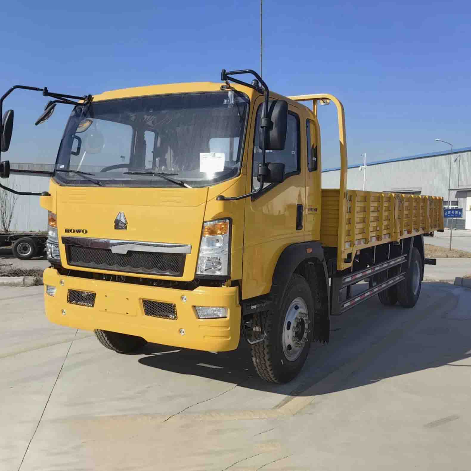 Sinotruk Howo 4x2 라이트 카고 트럭